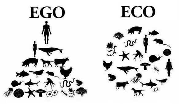 ego eco